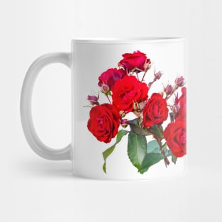 Red red roses Mug